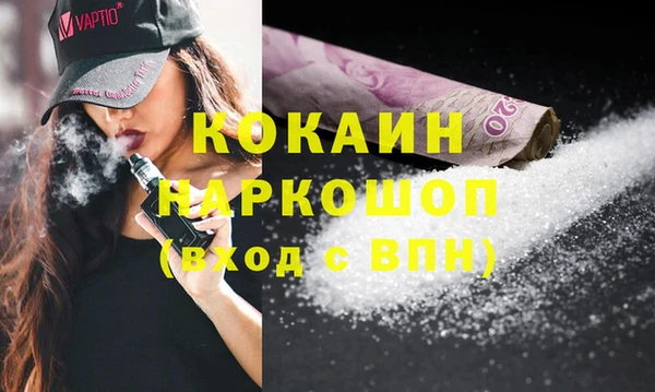спайс Гусев